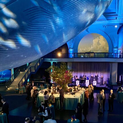 Performing under the whale at Museum of Natural History